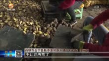 【微视频】拓展粮食生产空间 甘肃省今年将加大力度推进撂荒地复耕复种