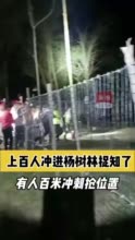 襄阳上百人冲进杨树林捉知了猴 有人拎竹杆百米冲刺抢位 网友：为美味真拼