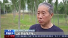 白头鹤的“危险邻居”有哪些？一起看湿地中的“邻里百态”