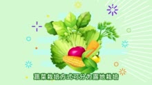 【三农词条】蔬菜栽培方式有哪些？