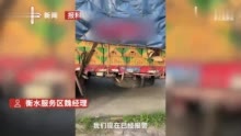 服务区经理回应车主怀疑员工偷瓜：不像是加油员，已报警处理