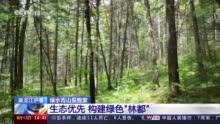 绿水青山是我家丨黑龙江伊春：生态优先 构建绿色“林都”