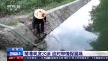 长江流域降雨量较常年同期偏少四成 湘赣川渝等省市调度水源应对旱情