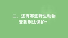 小心违法！你养的“神奇动植物”可能是国家级保护对象