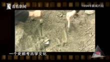 视频｜看6000年前的“上海人”怎么生活