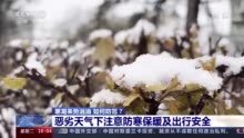 今冬以来最强寒潮！河北出现零下30℃低温