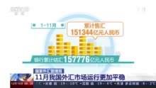 11月我国外汇市场运行更加平稳 境内外汇供求保持基本平衡