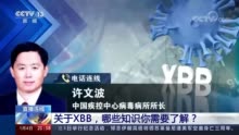 关于XBB 哪些知识你需要了解？