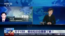 关于XBB 哪些知识你需要了解？