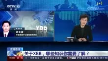 关于XBB 哪些知识你需要了解？