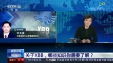 关于XBB 哪些知识你需要了解？