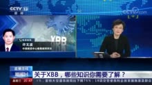 关于XBB 哪些知识你需要了解？