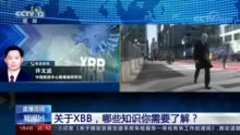 关于XBB 哪些知识你需要了解？