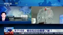 关于XBB 哪些知识你需要了解？