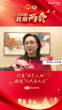 人大代表杨凤一谈打造“演艺之都”：吸引更多国内国际院团登上首都舞台