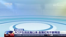 RCEP政策红利效应明显 各类产品进出口业务量增长