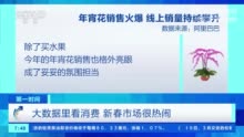 宠物春联火了兔耳朵年宵花仙客来销量暴增10倍