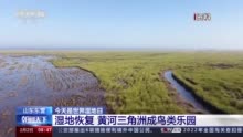 我国湿地面积约5635万公顷，是全球湿地类型最齐全国家之一