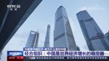 众多外国商会和国际机构用实际行动回答“我为什么看好中国”