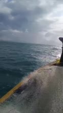 视频丨100余头中华白海豚畅游三亚崖州湾