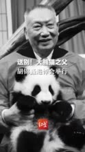 “最爱大熊猫的人”走了！胡锦矗教授遗体告别仪式举行，“胡家军”都来了…