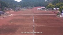 C视频丨射洪市青岗镇：给土地“化妆” 零星地这样变成优质种田 【趣说天府春耕⑤】