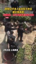 视频 | 网传82岁老人自家院子种菜被全部清理，街镇回应：系公共地块，整治前已告知