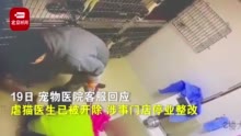 瑞鹏宠物医院回应“医生狂踹虐待猫咪”：已开除，门店停业整改！