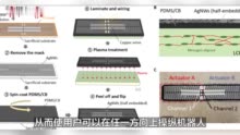 科技新突破 | 机器人毛毛虫展示了软体机器人运动的新方法