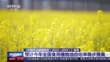 《中国农业展望报告（2023—2032）》发布：预计今年全国食用植物油自给率稳步提高