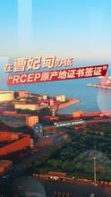 在曹妃甸办张“RCEP原产地证书签证”