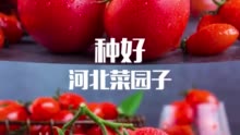 第六届京津冀蔬菜产业发展大会5月18日与您相约河北饶阳