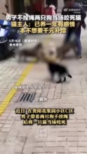 男子未栓绳2狗小区内咬死宠物猫