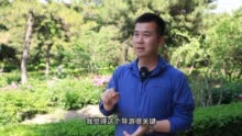 如何让旅程更幸福｜曹震：游客的幸福感就是导游的成就感