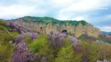 伊犁霍城中华福寿山的逐花之旅