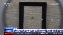 新疆唐王城遗址考古首次展出一批珍贵出土文物