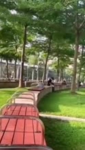 深圳一公园长椅加装分隔栏禁躺卧休息，街道办：设计安装欠妥，已优化
