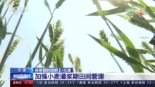 特色蔬菜走俏 特色种植促增收 我国从南到北收获忙