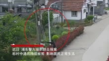 视频 | 上海警方抓获“线缆大盗”：影响300多户居民正常通信