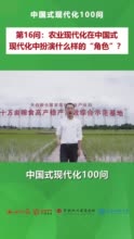 中国式现代化100问丨第16问（视频）：农业现代化在中国式现代化中扮演什么样的“角色”？