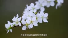 周末到铜梁 镇长晒主题丨小林镇：“铜画”小林 “荷李”相遇