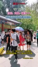 “荷”乐不为！美食、文创、市集……北京圆明园 赏花游园乐！