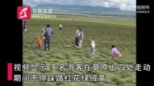 文旅局回应草原游客踩踏珍稀植物：无依据处罚已劝阻