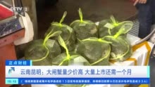 量少价高！云南昆明“六月黄”大闸蟹抢“鲜”上市