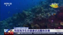 以前所未有的力度保护和治理 我国海洋生态健康状况整体改善