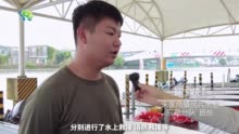 热血青年，向水而行！世界华人龙舟邀请赛来啦，朱家角镇两条“出水蛟龙”全力备赛