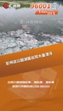 民情丨彭州一公园湖水出现大量不明漂浮物，恶臭难闻，是啥原因？