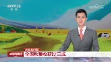 多项数据看中国经济活力 各地秋粮收获丰产在“握”