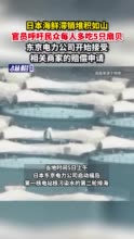 日本海鲜滞销堆积如山，官员呼吁民众每人多吃5只扇贝，东京电力公司开始接受相关商家的赔偿申请