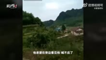 湖北宜昌5名养猪户滑落化粪池死亡：有人两次下去救援遇难